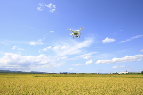 ドローン防虫散布