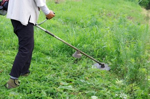 農家向け業務アウトソーシング